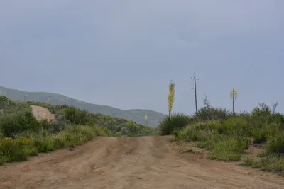 DSC_6883 (Large).JPG